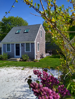 29 Driveway West Side