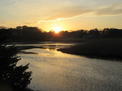 Marsh Sunset Ocean Avenue