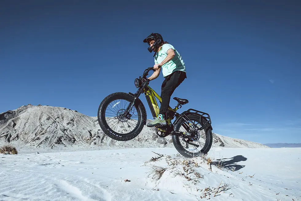 Miniature : Vélo électrique Cyrusher Ranger