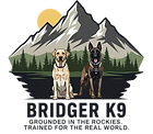 dog training Denver