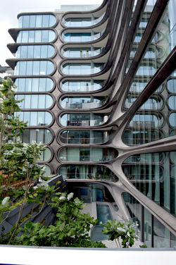 Zaha