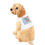 Thumbnail: White pet hoodie with pastel gradient “Rescue Vibes Only” design, hearts and paw prints included