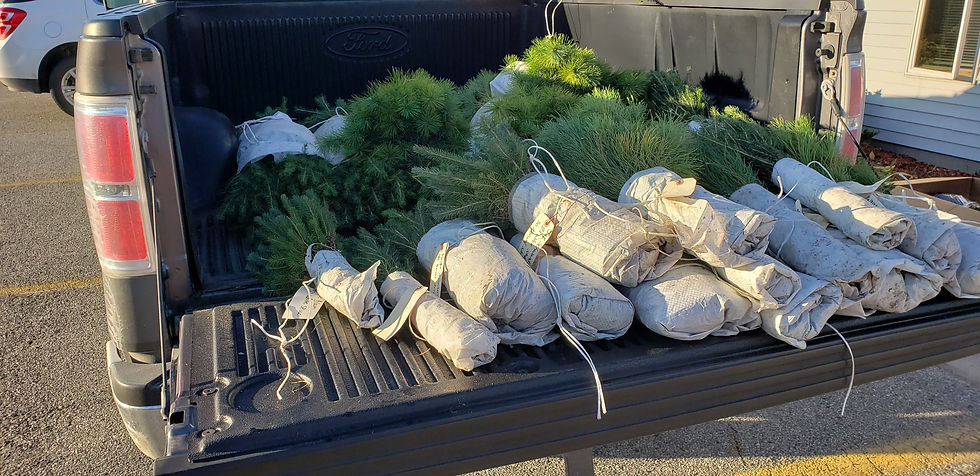 Fall 2021 Tree Sale Pick-up