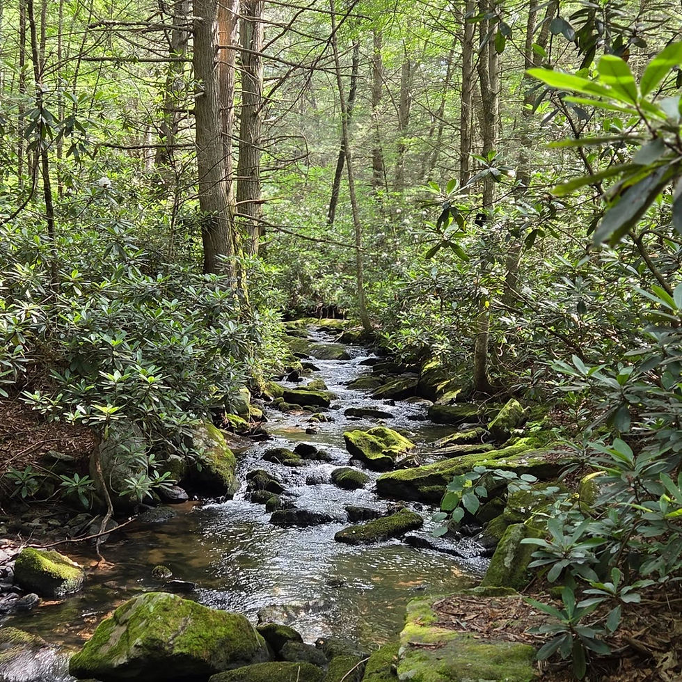 Sometimes healing doesn’t mean stopping. It means walking with the weight, feeling the ache, and still choosing to take one step at a time.
