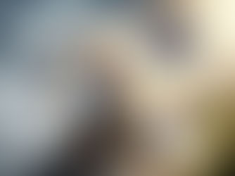 A traveling queen sitting on a wooden sled in a blizzard, holding a glowing sword of light and a tortilla chip while pulling a heavy load of business deals and responsibilities. She faces a dark virus labeled 'IT WILL NEVER WORK' near a rainbow portal, representing the shift to Quantum Growth and Business Success.