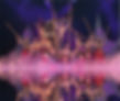 ACT 10 - FUSION