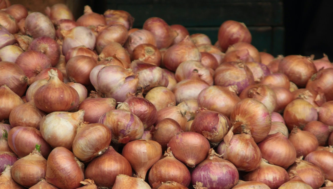 Cebolla