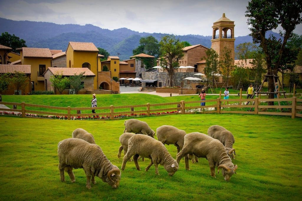 5D Wonder Bangkok + Khaoyai