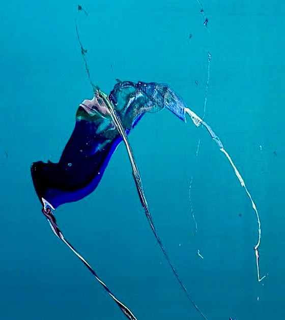 Bildschirmfoto 2024-10-05 um 17.50.44