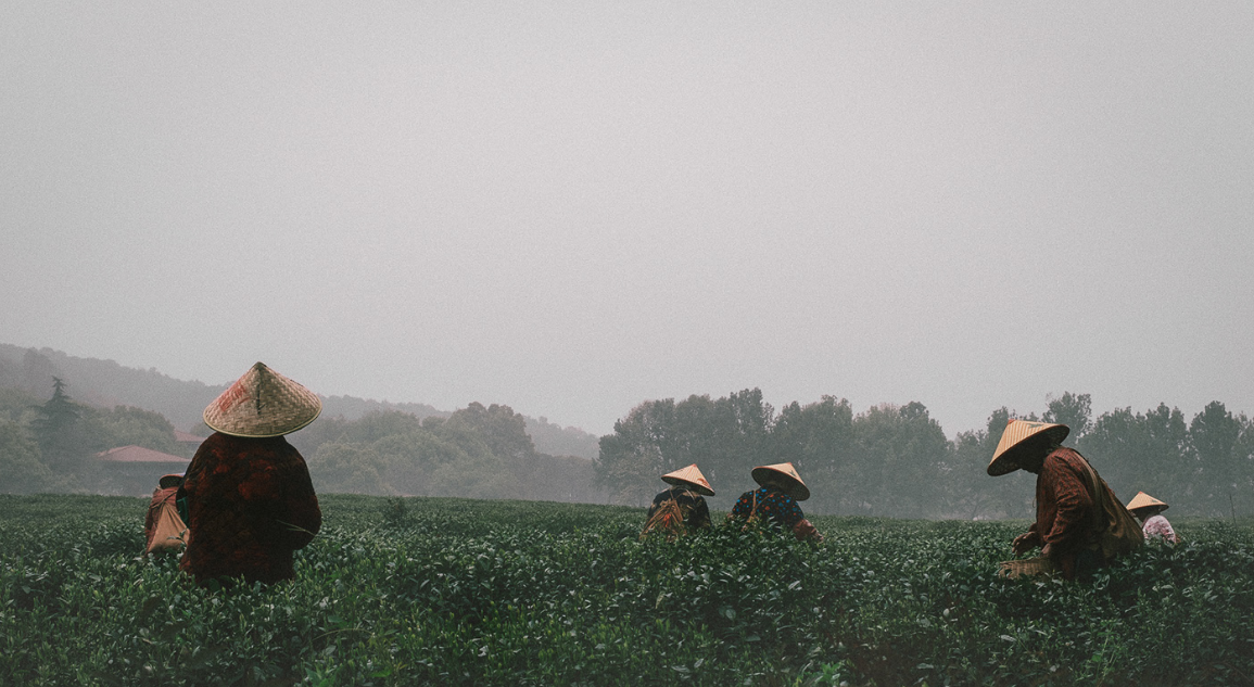 Screenshot (502).png