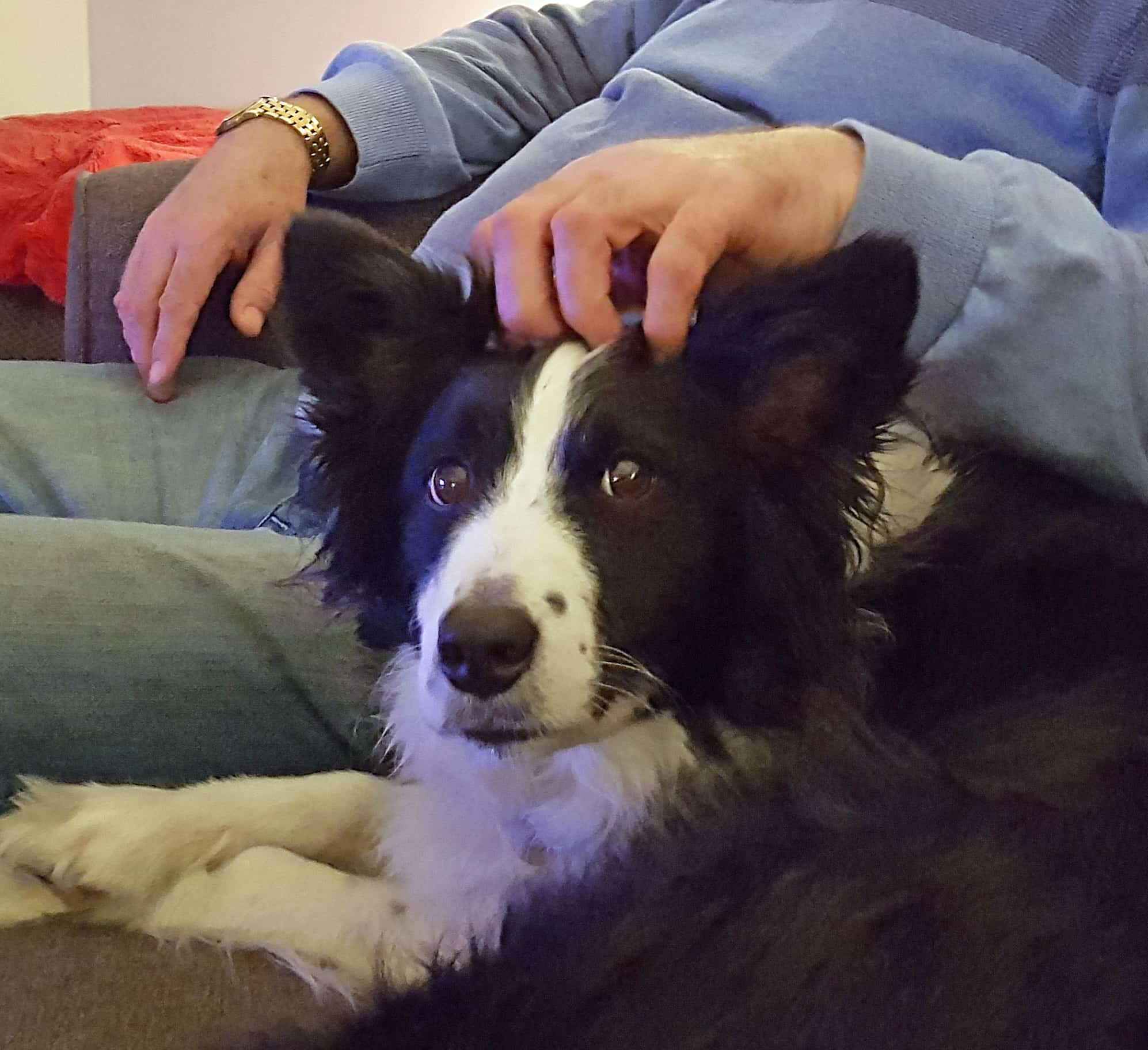 Brian & Lucy