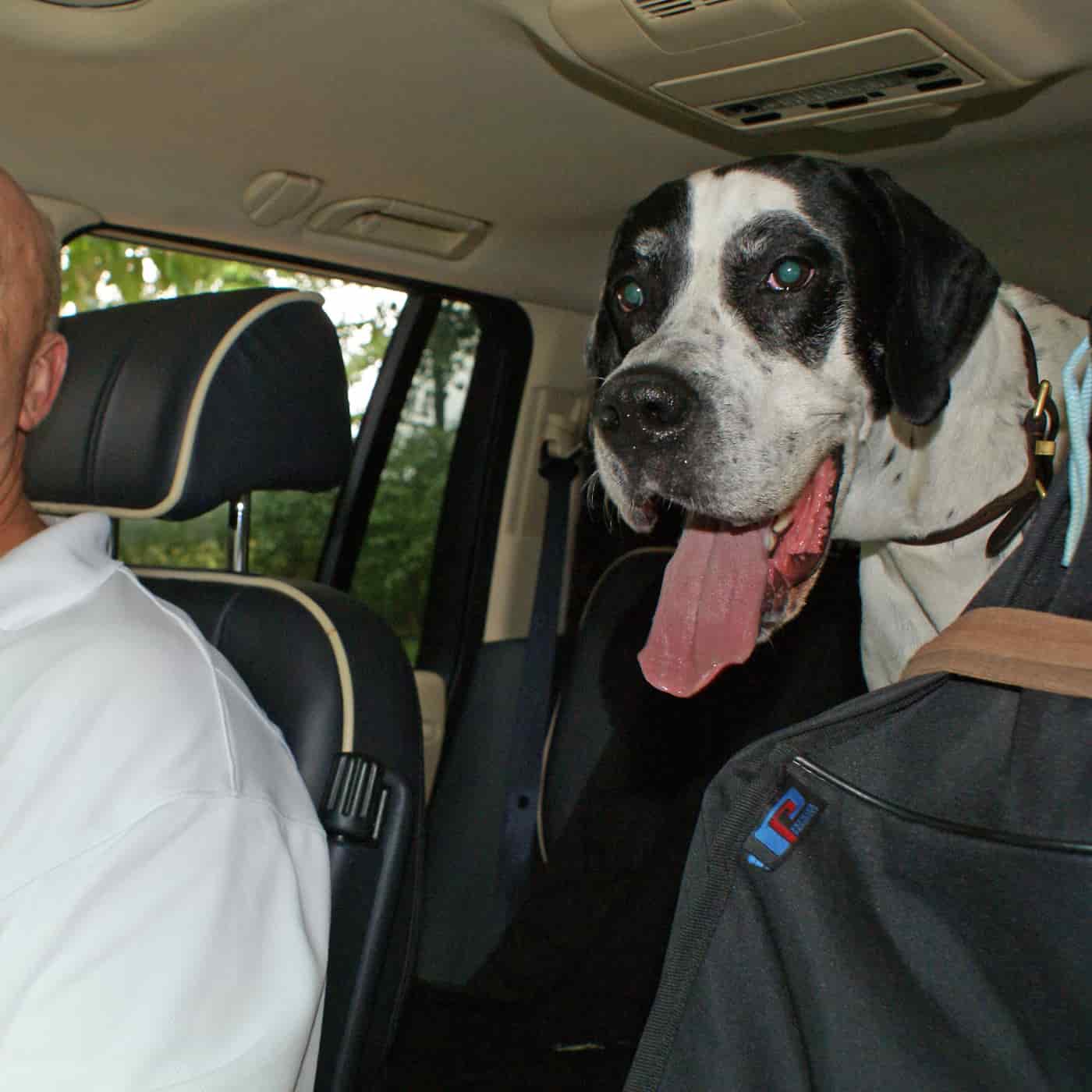 Dizzle in the Range Rover-min