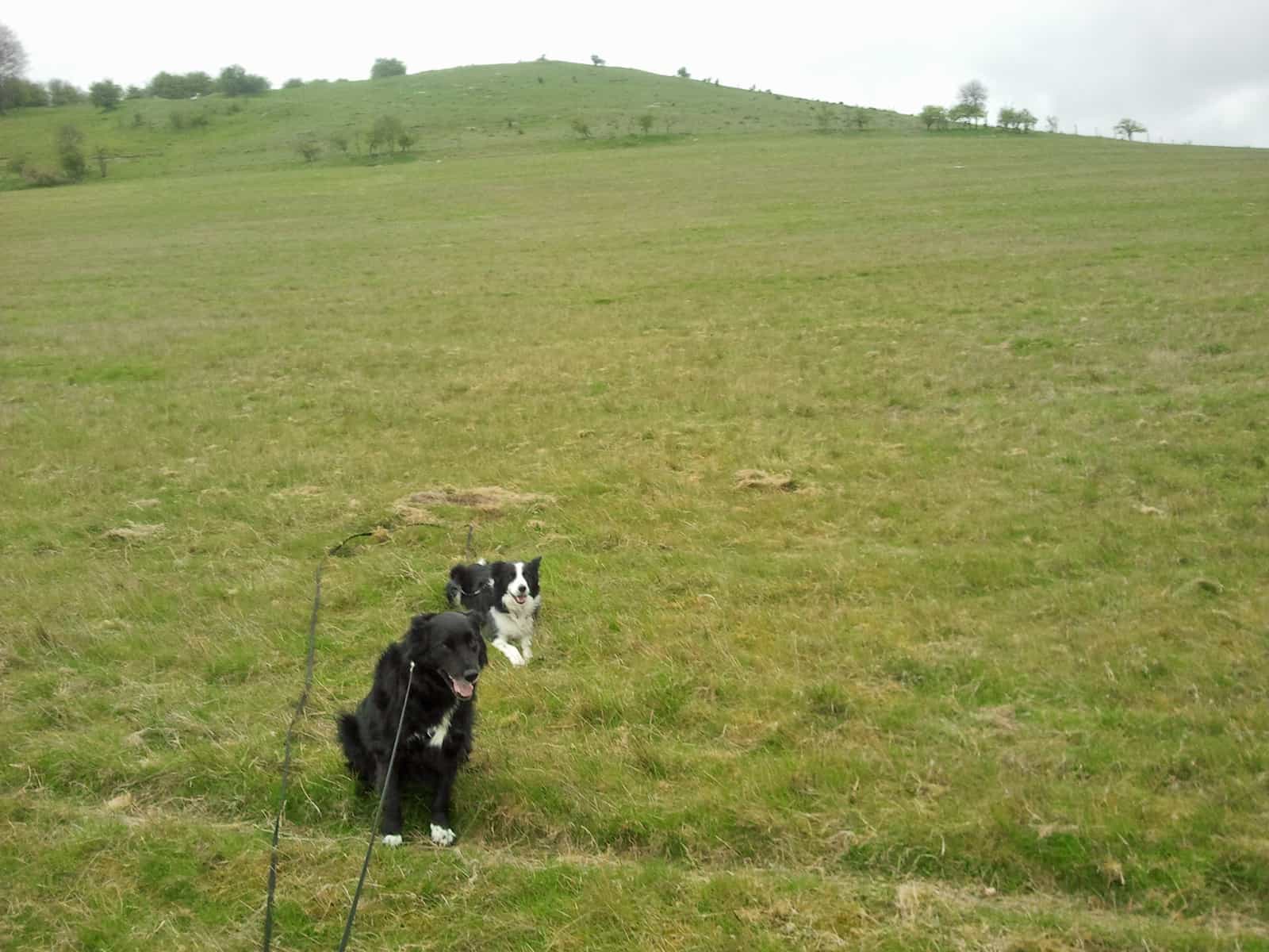 Lucy and Max Posing at Pegsdon 17 April