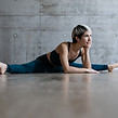 YogiFamily27.jpg