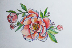 Изображение 136