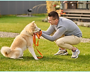 smart-dog-sideways-camera-joyful-young-adult-man-crouching-touching-friendly-smart-dog-wit