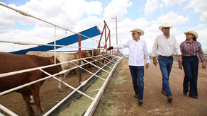 Gobernador Durazo reanuda exportación de ganado a Estados Unidos; Sonora es el primer estado en México