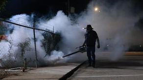 Salud Sonora fumiga más de 154 mil hectáreas contra el dengue en 283 localidades