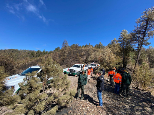 Gobierno de Sonora continúa combate de cuatro incendios forestales