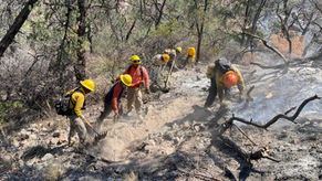 Gobierno de Sonora combate incendio forestal en Agua Prieta