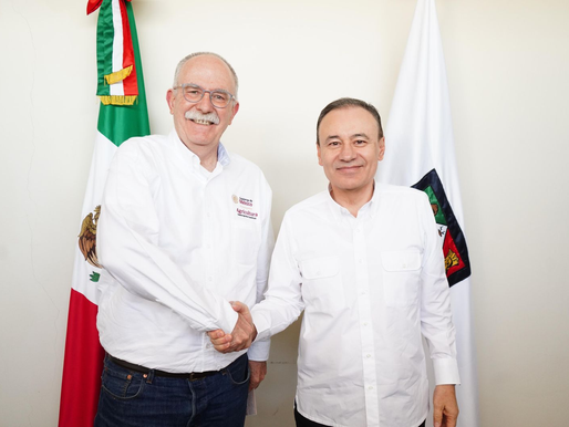 Logra Gobernador Durazo regularizar el ritmo de exportación de ganado a Estados Unidos