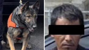 Binomios K-9 de la Policía Estatal detectan narcótico en Hermosillo