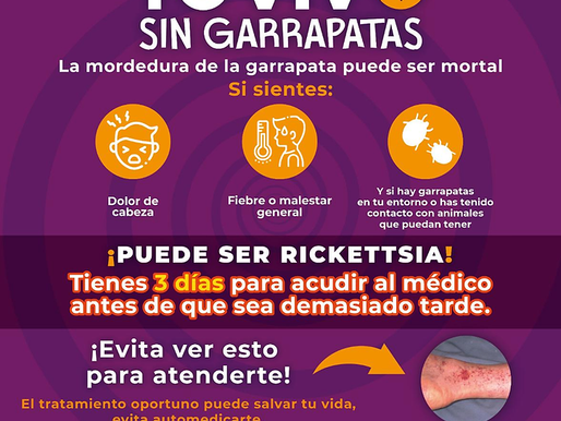 Gobierno de Sonora reduce un 36.93% tasa de letalidad de rickettsia durante 2024