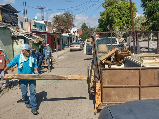 Ayuntamiento de Empalme intensifica acciones contra el mosquito transmisor del dengue