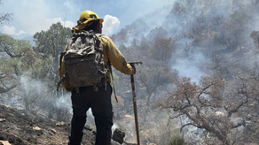 Gobierno de Sonora logra liquidación total del incendio forestal en la Sierra Los Ajos