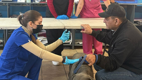 Beneficia Gobierno de Sonora salud de animales con jornadas integrales gratuitas