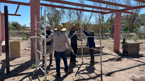 Gobierno de Sonora impulsa proyecto de bioconstrucción con carrizo en el Bosque Urbano La Sauceda