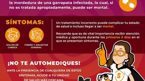 Salud Sonora llama a ciudadanía a trabajar en conjunto para prevenir la rickettsiosis