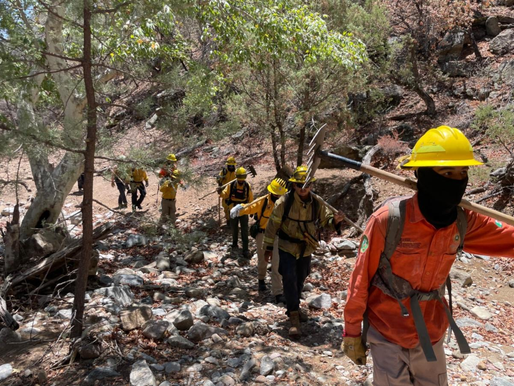 Avanza Gobierno de Sonora en control de incendio forestal en la Sierra Los Ajos