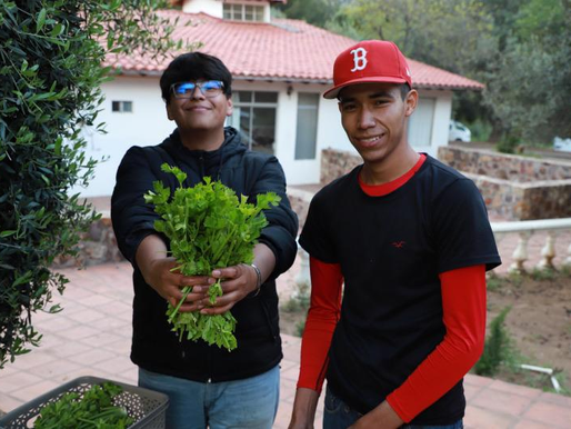 Participan estudiantes del Creson en taller sobre agricultura orgánica para crear huertos escolares