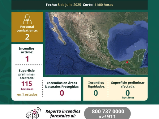 Gobierno de Sonora llama a mantener las medidas de prevención para evitar incendios forestales