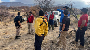 Gobierno de Sonora logra 100 por ciento de control en dos incendios forestales