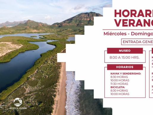 Invita Gobierno de Sonora a disfrutar del Estero El Soldado durante el verano 2025