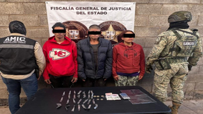 AMIC y DEFENSA realizan cateos positivos en Hermosillo