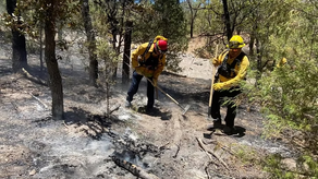 Gobierno de Sonora, en coordinación con instancias federales y municipales, mantiene combate a incendios forestales
