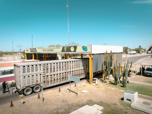 Gobierno de Sonora logra reapertura del cruce ganadero en Agua Prieta tras reconocimiento de estatus sanitario