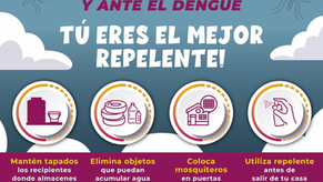 Refuerza Gobierno de Sonora acciones para prevenir el dengue durante la temporada de lluvias