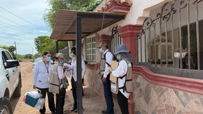 Gobierno de Sonora intensifica acciones territoriales contra la rickettsiosis