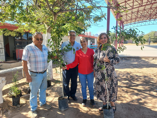 Recibe Ayuntamiento de Empalme arbolitos en donación por parte del CBTA 132