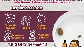 Llama Gobierno de Sonora a la población a protegerse y cuidar de su salud