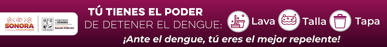 BANNERS PORTALES CAMPAÑA DENGUE SALUD_728x90.png