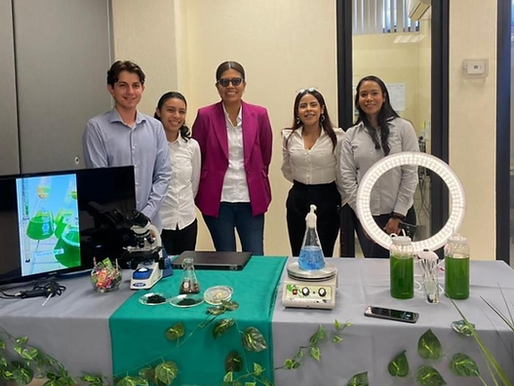 Desarrolla Universidad Tecnológica de SLRC biofertilizante a base de algas