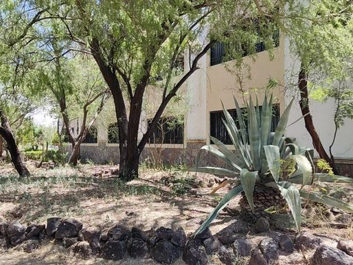 Promueve Universidad de la Sierra conservación de plantas nativas del desierto sonorense