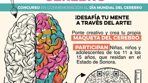 Invita Gobierno de Sonora a participar en el concurso “Conéctate con tu cerebro”