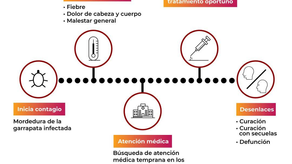 Gobierno de Sonora exhorta a acudir al médico ante síntomas de rickettsiosis