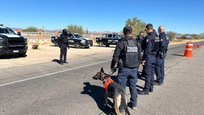 Asegura Gobierno de Sonora más de 5 mil dosis de narcótico en operativos de la Policía Estatal